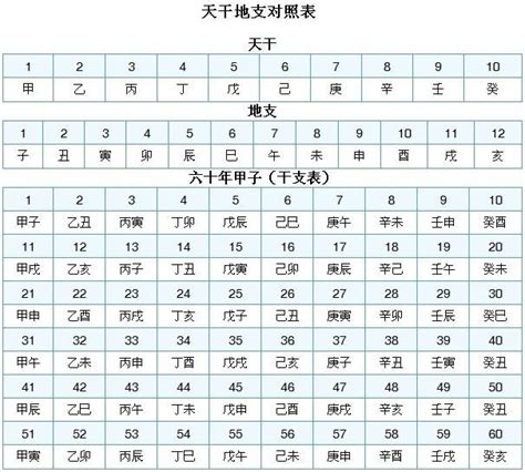 丁酉時|天幹地支